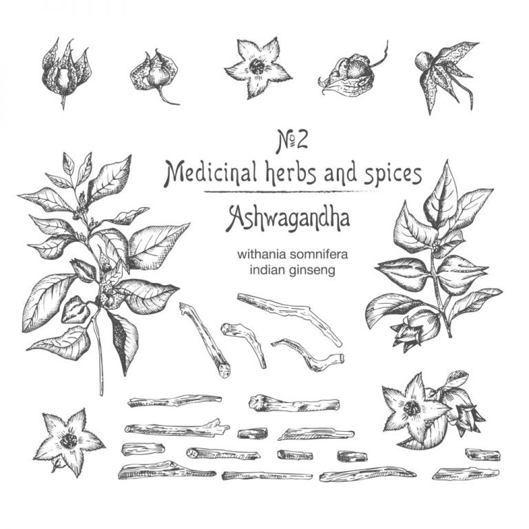 Ashwagandha: Herbal Support in These Stressful Times