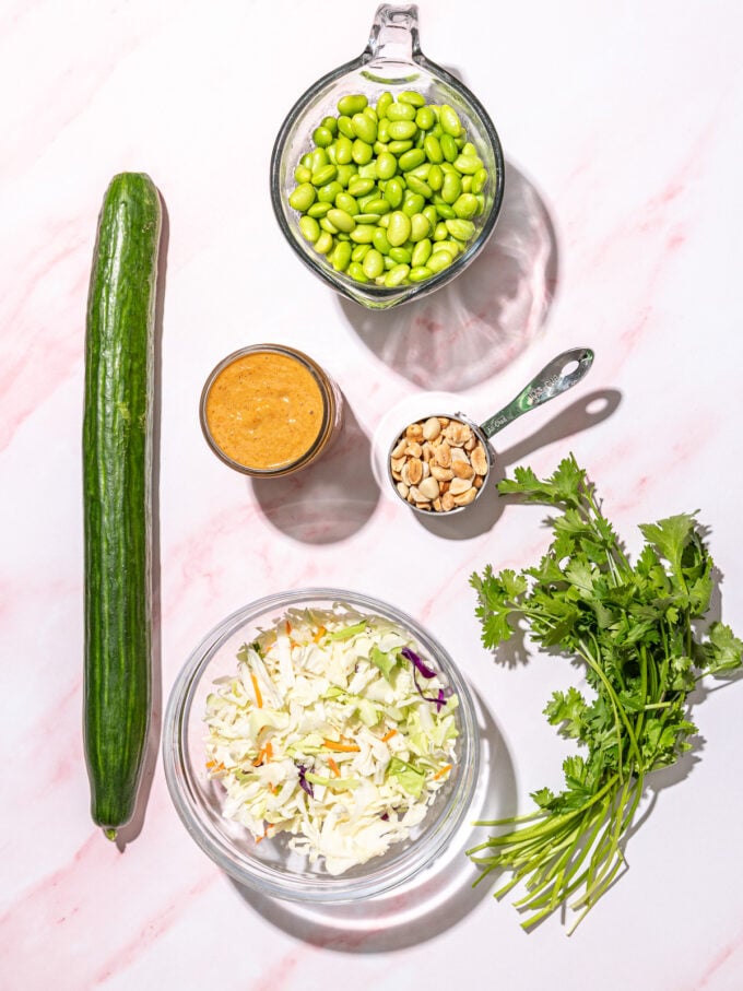 cucumber, edamame, coleslaw, peanuts, sauce and cilantro on pink background