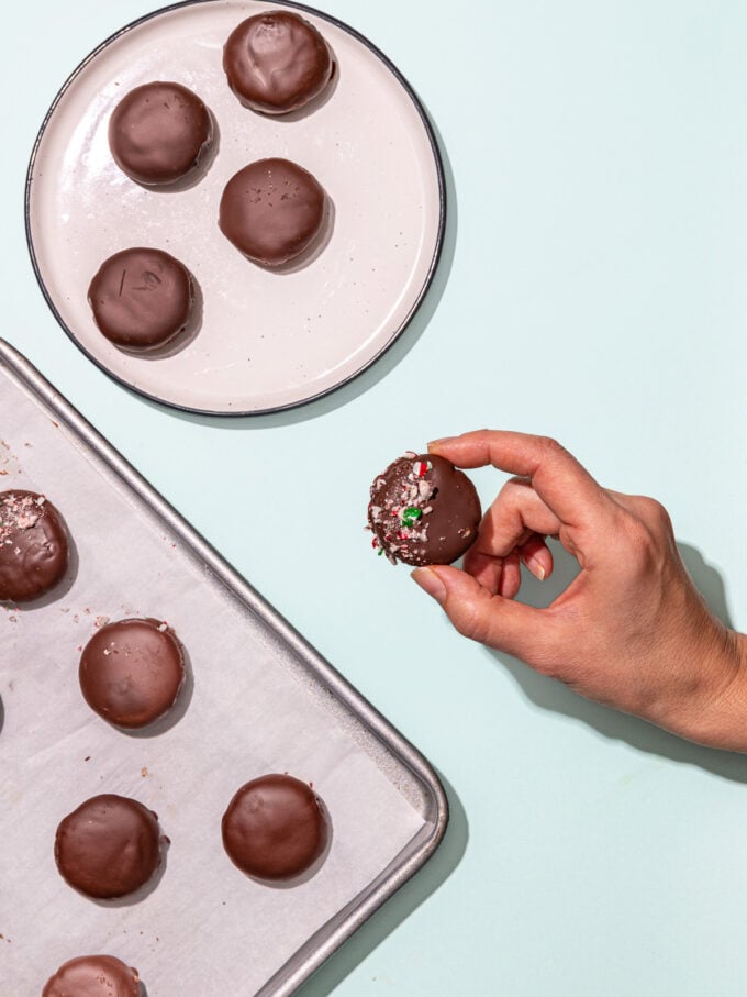 hand holding vegan thin mint cookie with crushed candy canes beside a plate and baking tray
